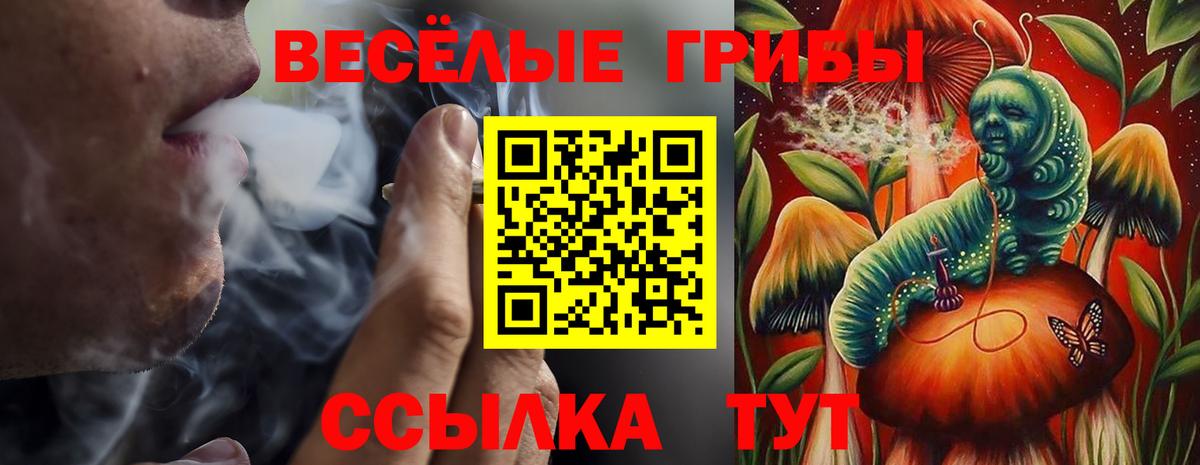 Псилоцибиновые грибы мухоморы Луга